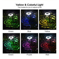 Încărcați imaginea în vizualizatorul Galeriei, Lampa solara Smart RGB / Alb cald
