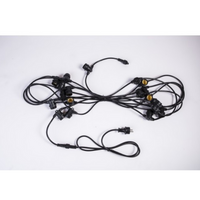 Încărcați imaginea în vizualizatorul Galeriei, Ghirlanda Luminoasa 5M cu 10 Becuri LED, E27, 1W, Interconectabile,  Cablu cu Pendul Negru, Lumina Calda,de Exterior
