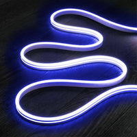 Încărcați imaginea în vizualizatorul Galeriei, Furtun LED cu neon, flexibil, 100m, pentru exterior, diverse culori
